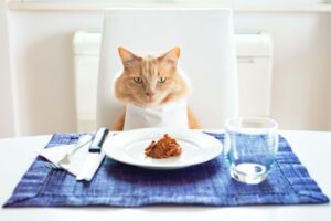 猫の食卓