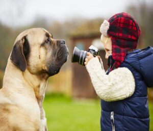 犬を撮影する男の子
